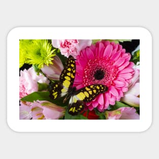 Pink Gerbera With Yellow Black Butterfly Sticker